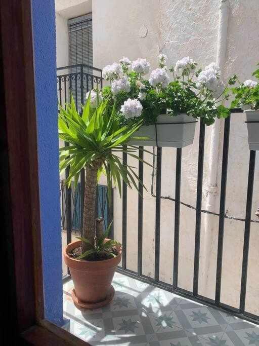 Casa Ziba Casco Antiguo Wifiaa Apartment เพนิสโคลา ภายนอก รูปภาพ