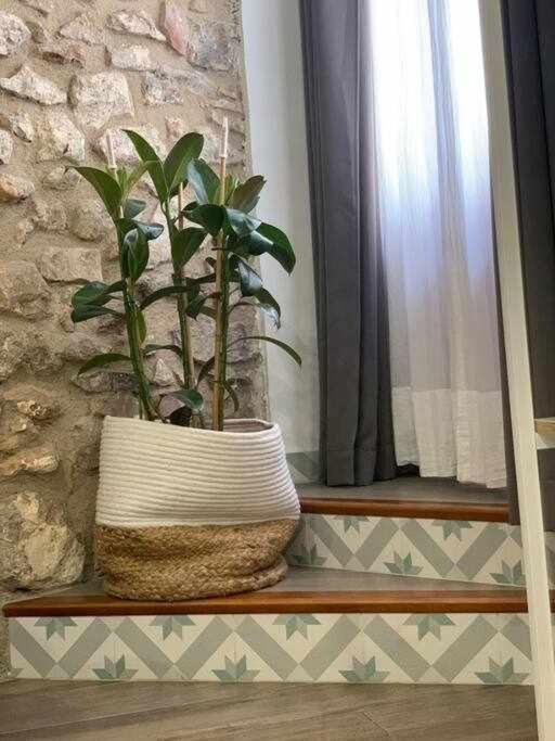 Casa Ziba Casco Antiguo Wifiaa Apartment เพนิสโคลา ภายนอก รูปภาพ